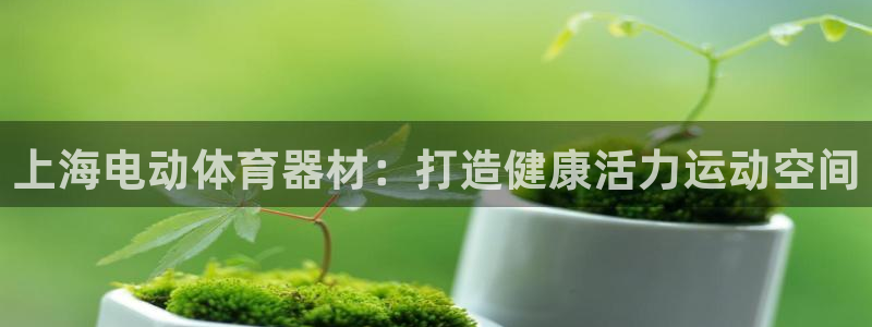 星欧娱乐的官方版本更新内容有哪些：上海电动体育器材：打造健康