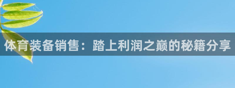 星欧娱乐平台怎么样可靠吗：体育装备销售：踏上利润之巅